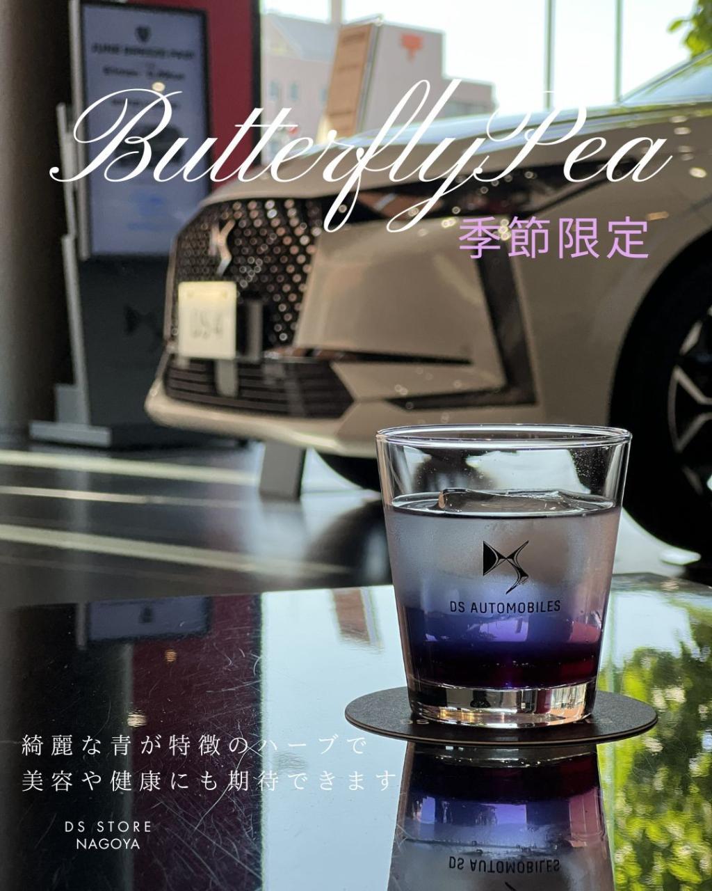 季節限定ドリンクのご紹介です